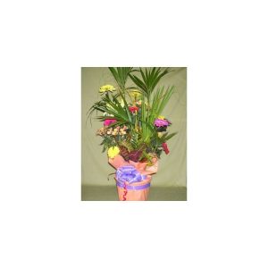Conjunto Plantas Detalle en flores
